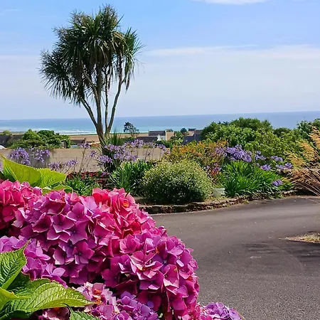 Les Hortensias De Papy * Plozévet