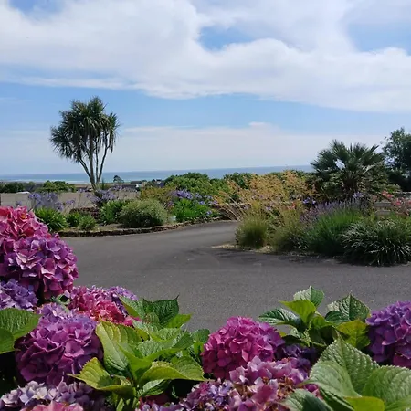 Les Hortensias De Papy